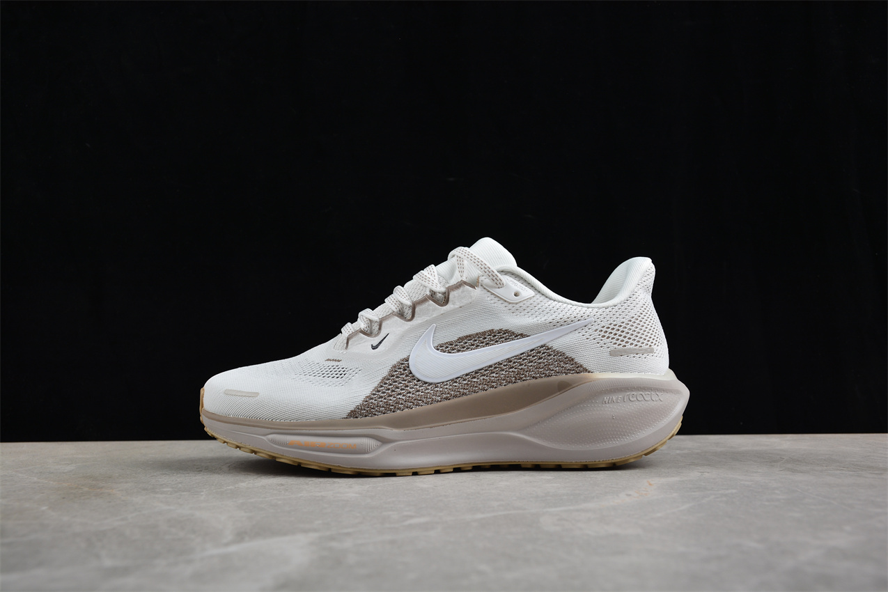 Nike Air Zoom Pegasus 41 034