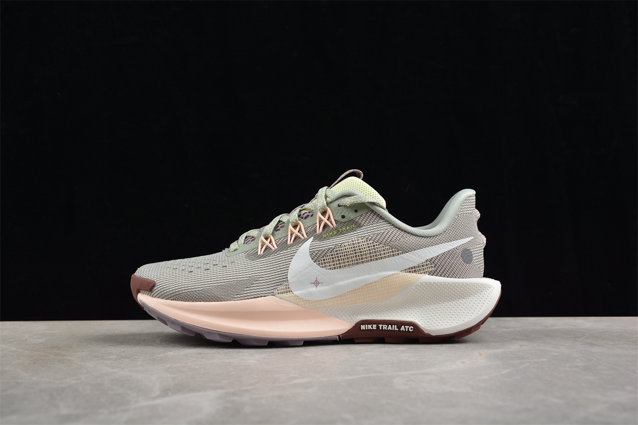 Nike Pegasus Trail 5 035