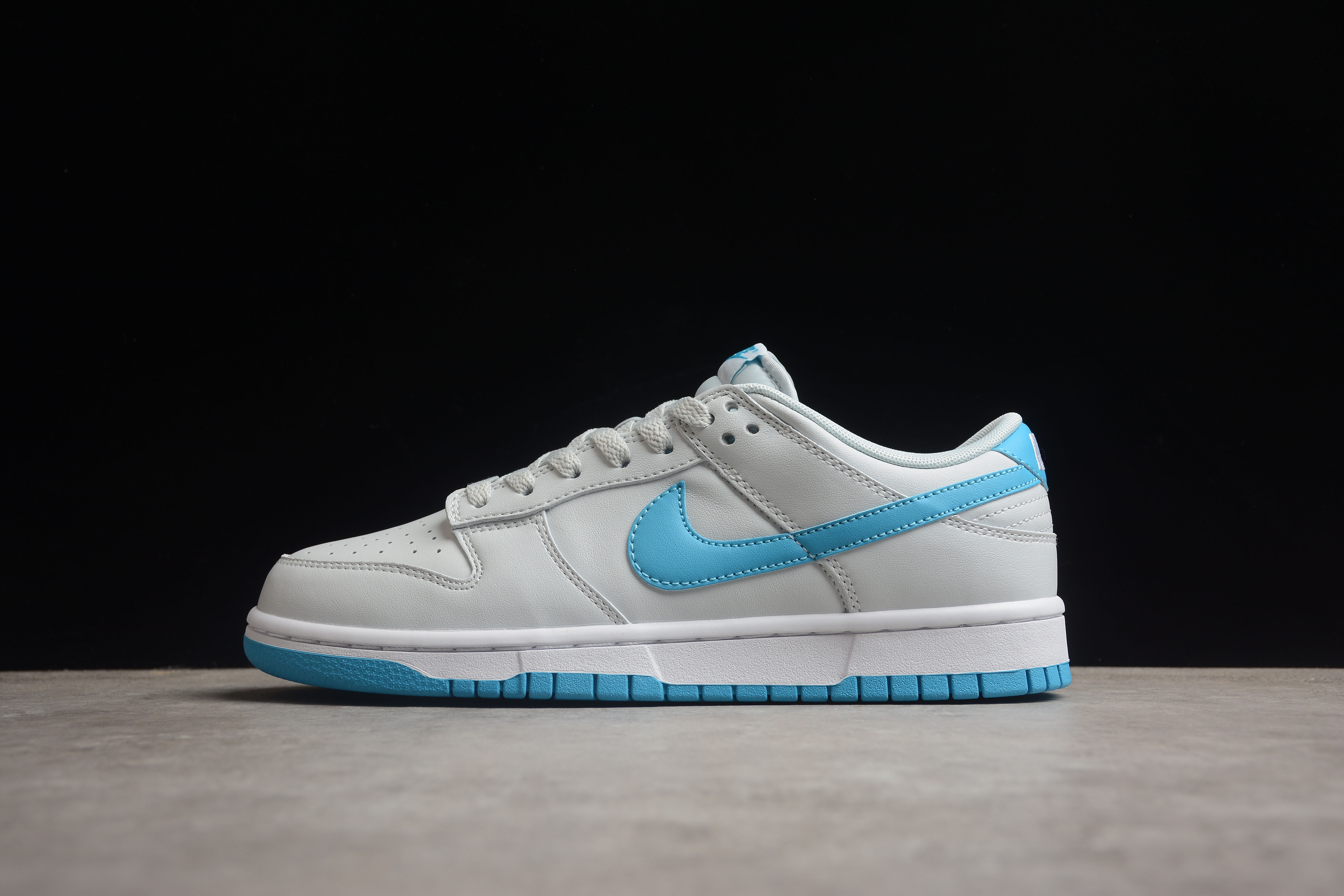 Nike SB Dunk Low RETRO Shoes