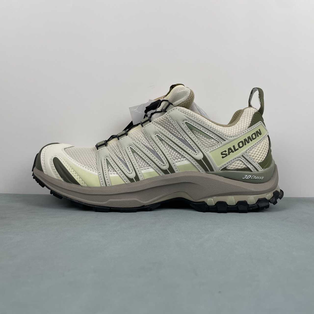 Salomon Runing Shoes